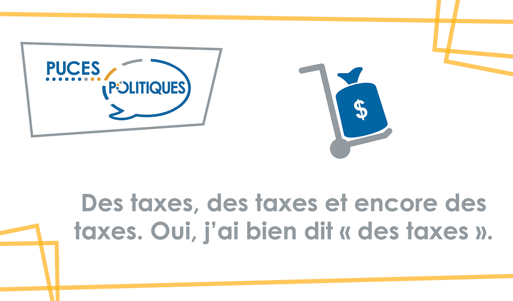 cirtwill-blog-taxes_website-fr