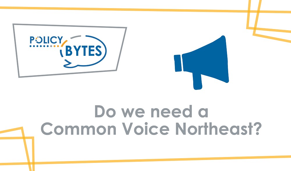common-voice-northeast-website-banner