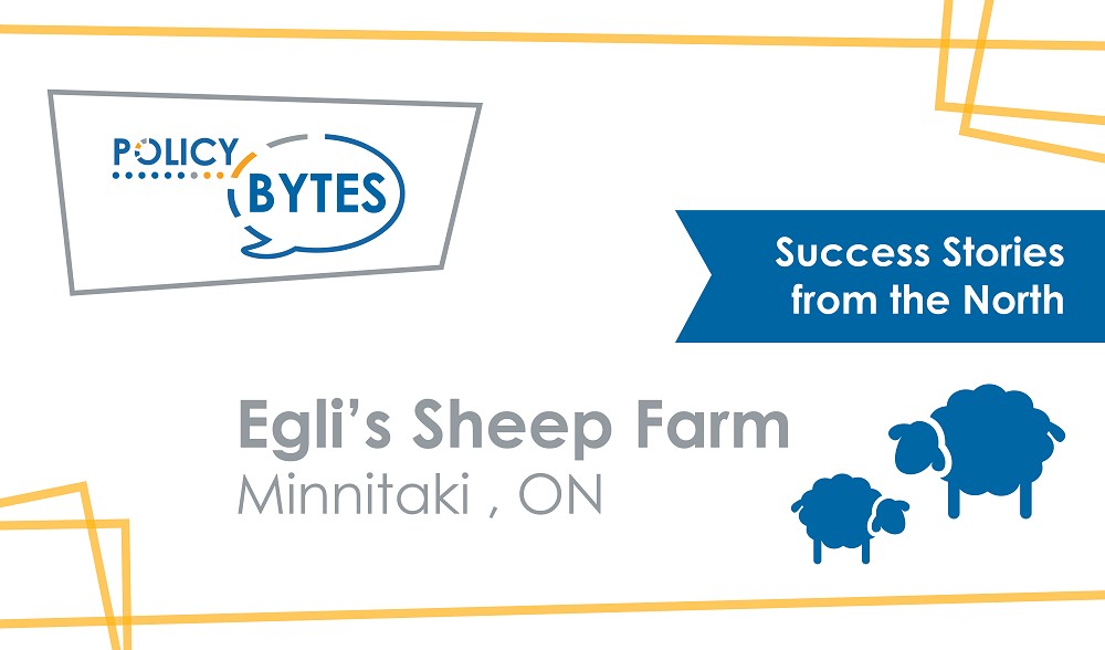 website-banner_eglis_sheep_farm_en