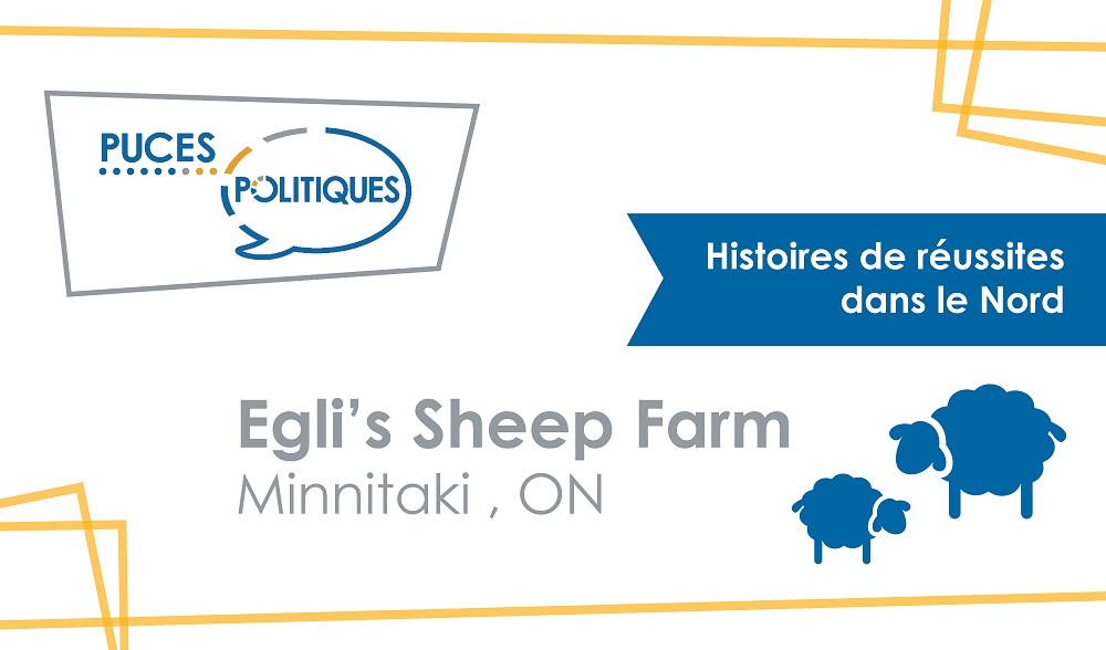 website-banner_eglis_sheep_farm_fr