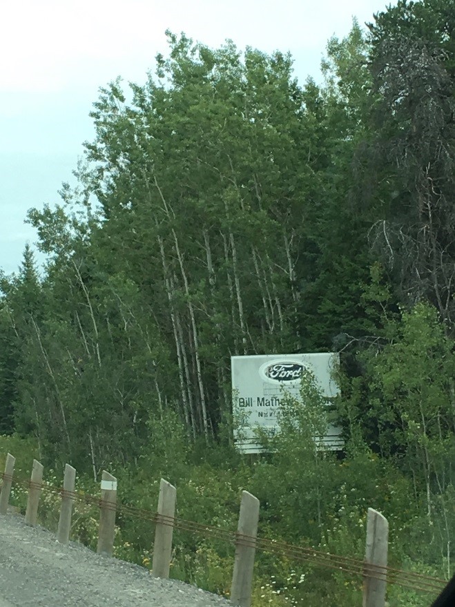 billboard with foliage blocking sign