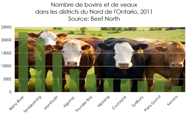 nombre de bovins et de veaux